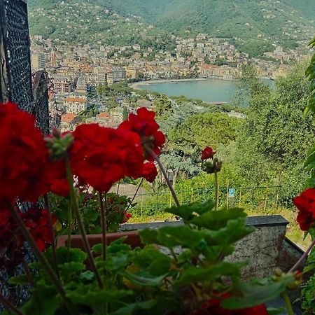 Villa Sunrise Rapallo Exterior foto