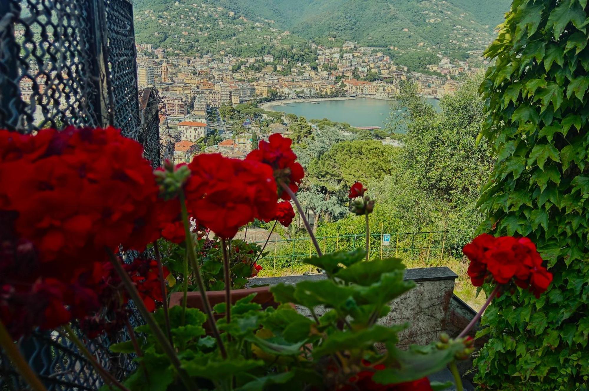 Villa Sunrise Rapallo Exterior foto